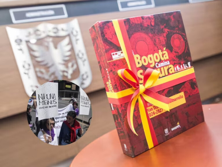 7 artículos nuevos en el Plan Distrital de Desarrollo para prevenir la violencia de género