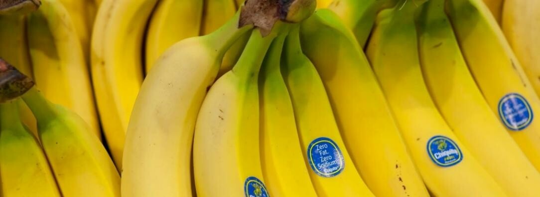 Chiquita Brands, responsable de financiar el paramilitarismo en Colombia