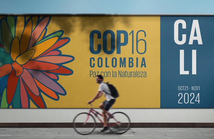 COP16: nos interesa generar una reserva de biósfera