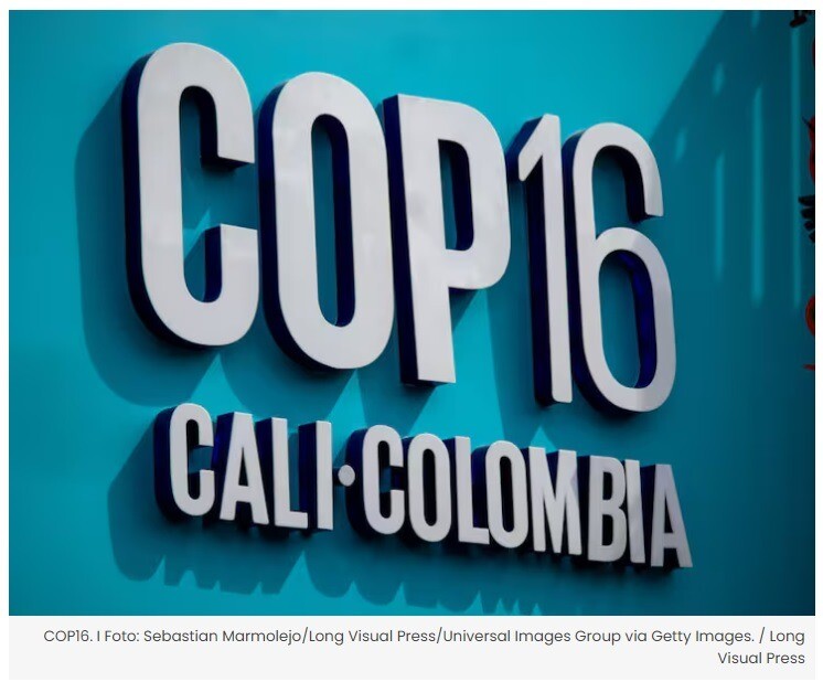 Los conflictos socioambientales de Boyacá serán presentados en la COP16