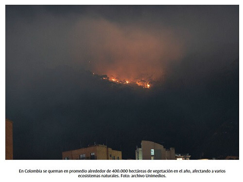 Los residuos de los incendios son tan peligrosos como el fuego