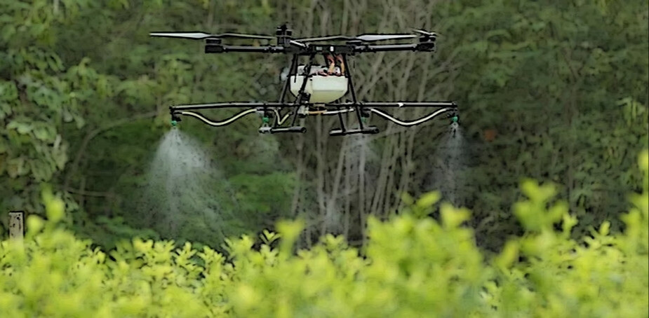 Erradicación y sustitución: duplas por superar