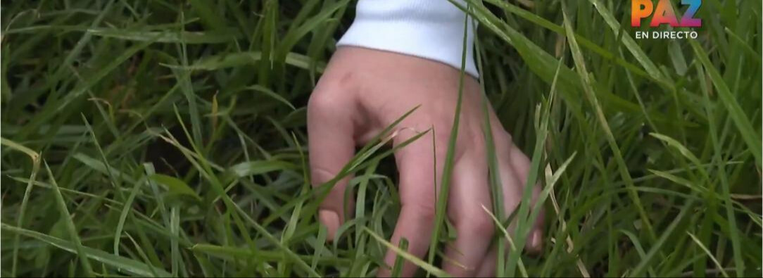 Alerta en la capital por el aumento del 18,5% en feminicidios en 2024, según Concejo de Bogotá