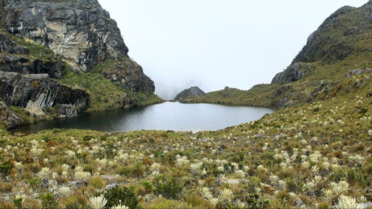 ¡Páramo Santurbán, protegido! Colombia ganó demanda a la multinacional Red Eagle