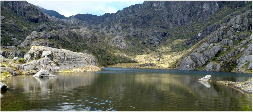 Colombia garantiza la protección del Páramo de Santurbán
