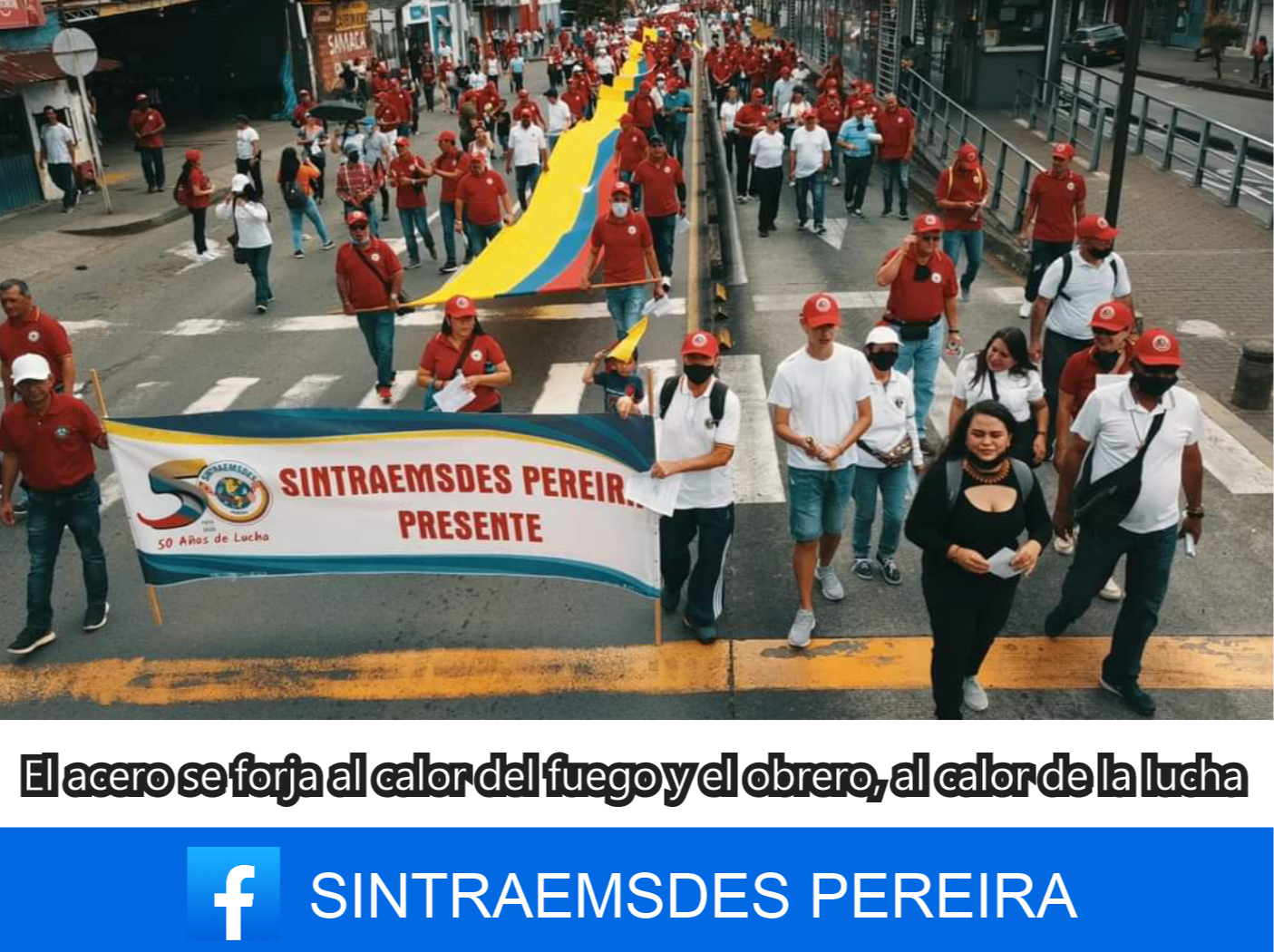 Sintraemsdes Pereira