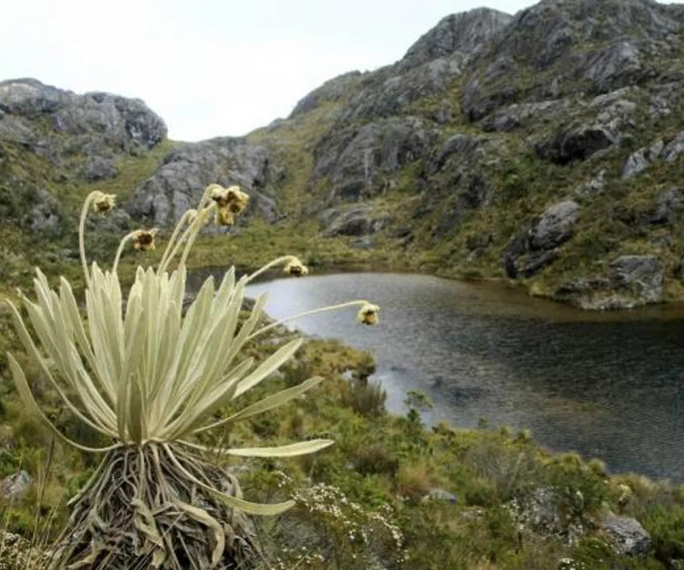 Páramo de Santurbán fue declarado sujeto de derechos por Tribunal de Santander