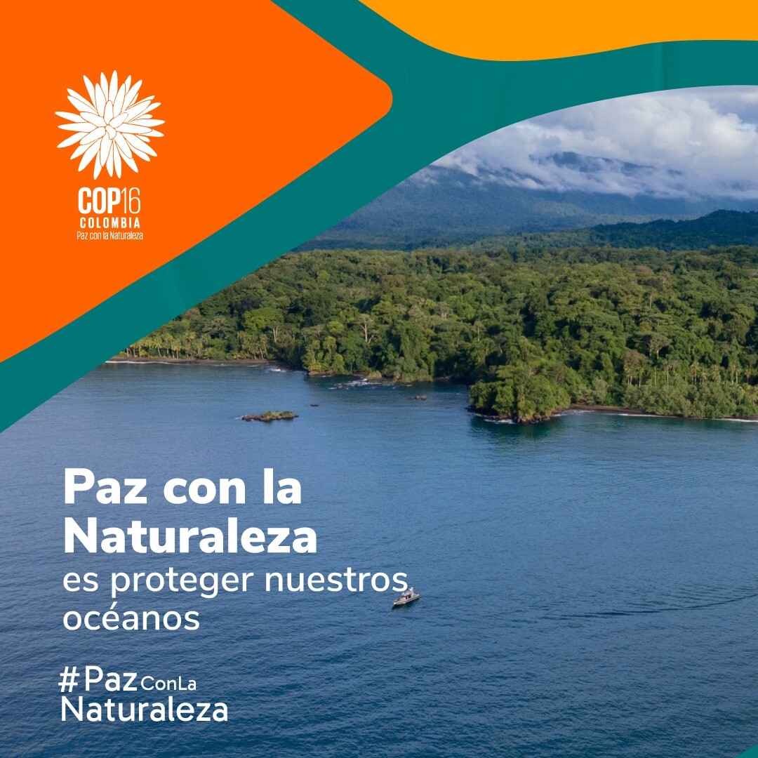 Sintraemsdes Nacional participará en la COP16