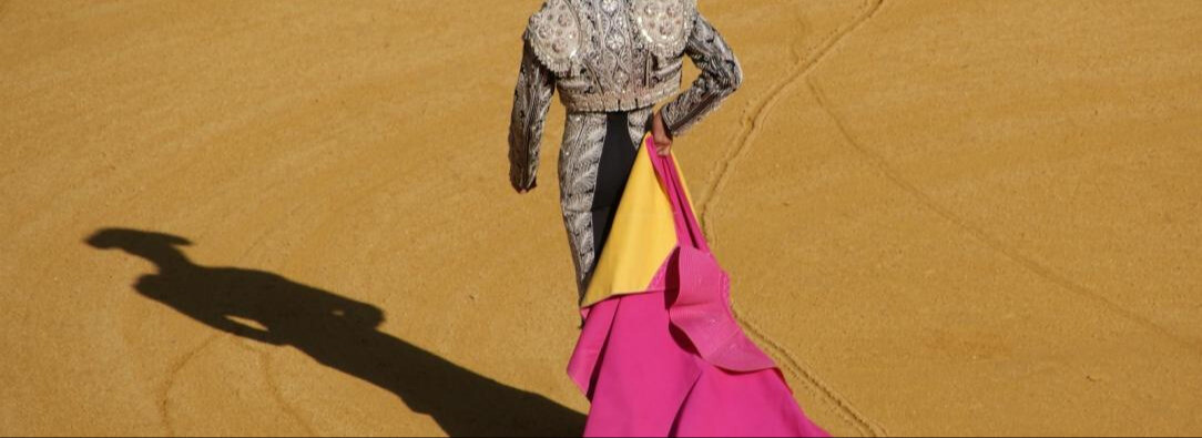 "No más olé": reacciones a prohibición de corridas de toros en Colombia